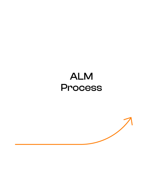 ALM Process